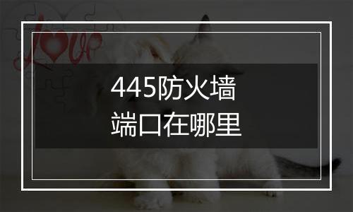 445防火墙端口在哪里