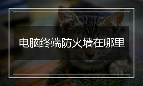 电脑终端防火墙在哪里