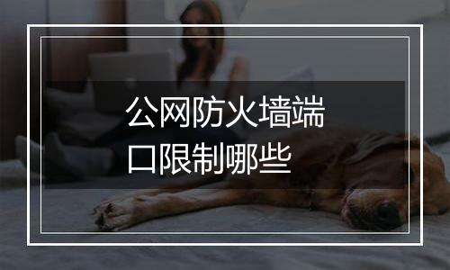 公网防火墙端口限制哪些