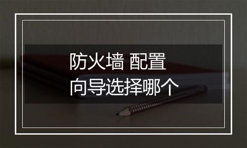 防火墙 配置向导选择哪个