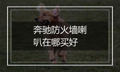 奔驰防火墙喇叭在哪买好