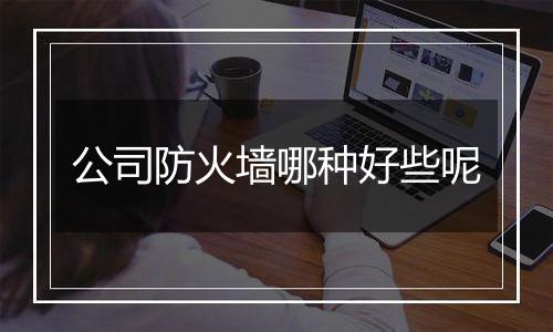 公司防火墙哪种好些呢