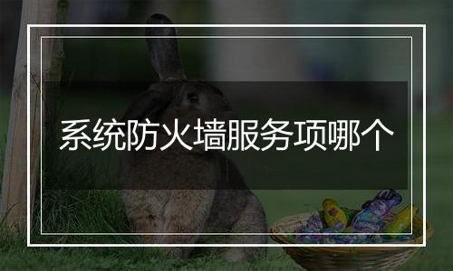 系统防火墙服务项哪个