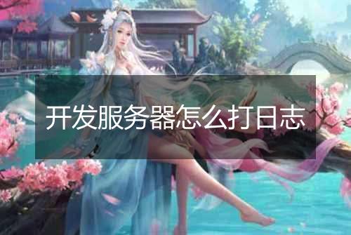 开发服务器怎么打日志