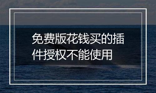 免费版花钱买的插件授权不能使用