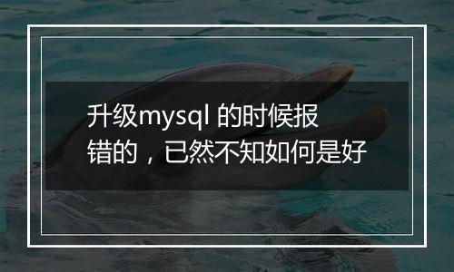 升级mysql 的时候报错的,已然不知如何是好