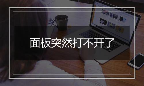 面板突然打不开了