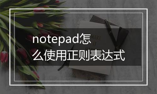 notepad怎么使用正则表达式
