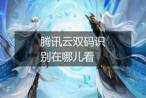 腾讯云双码识别在哪儿看