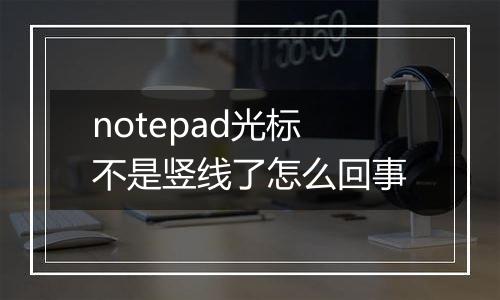 notepad光标不是竖线了怎么回事