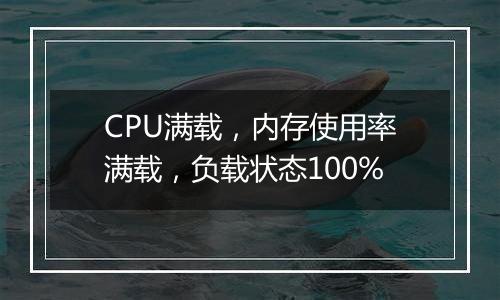 CPU满载，内存使用率满载，负载状态100%