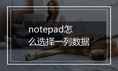 notepad怎么选择一列数据