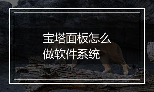 宝塔面板怎么做软件系统
