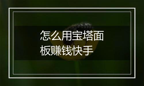 怎么用宝塔面板赚钱快手