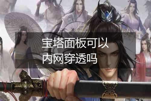 宝塔面板可以内网穿透吗