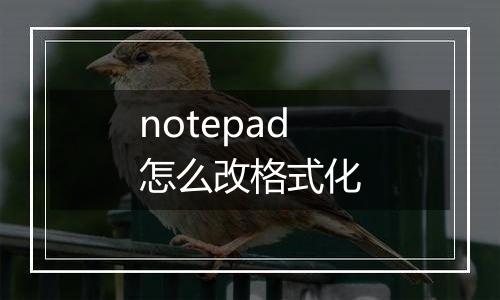 notepad怎么改格式化