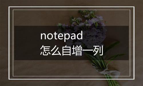 notepad怎么自增一列