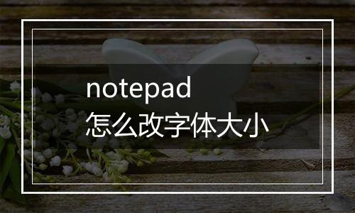 notepad怎么改字体大小