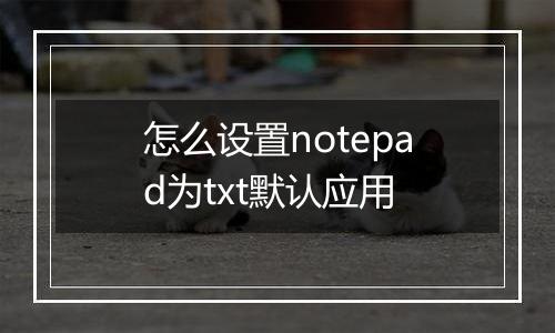 怎么设置notepad为txt默认应用