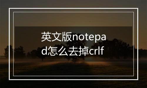 英文版notepad怎么去掉crlf
