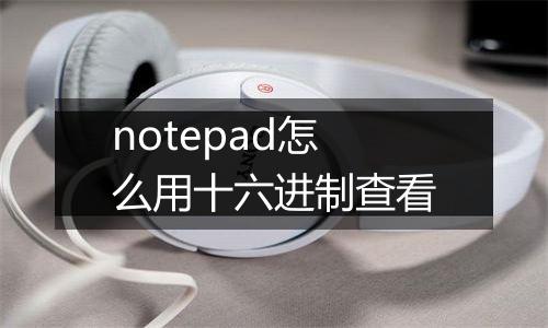 notepad怎么用十六进制查看