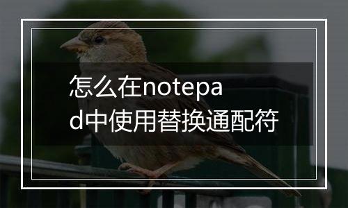 怎么在notepad中使用替换通配符