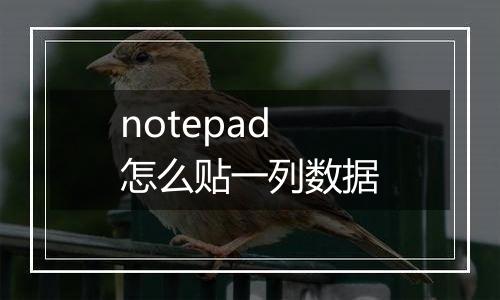 notepad怎么贴一列数据