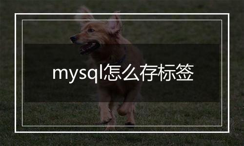 mysql怎么存标签