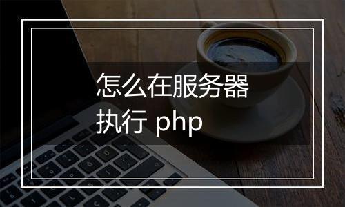 怎么在服务器执行 php