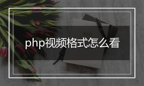 php视频格式怎么看