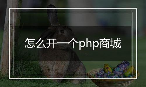 怎么开一个php商城