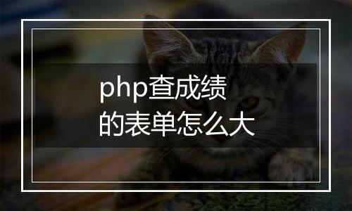 php查成绩的表单怎么大