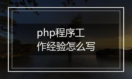 php程序工作经验怎么写
