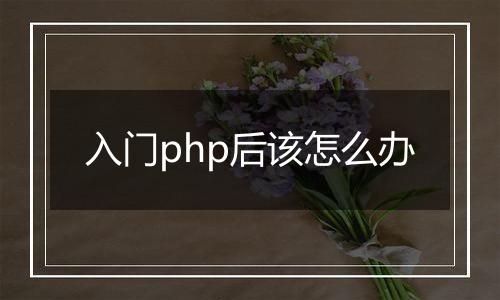 入门php后该怎么办