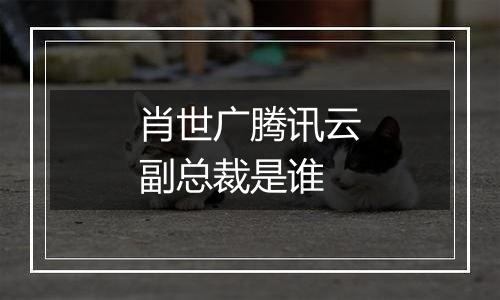 肖世广腾讯云副总裁是谁