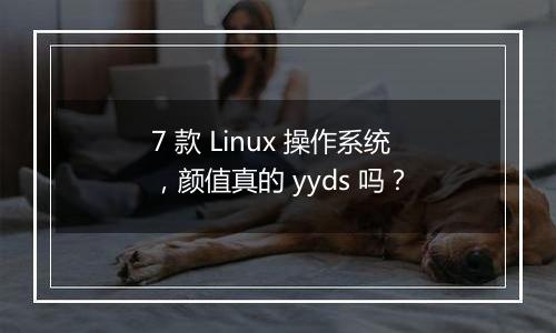 7 款 Linux 操作系统,颜值真的 yyds 吗?