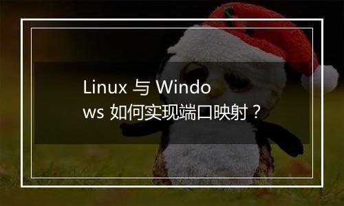 Linux 与 Windows 如何实现端口映射？