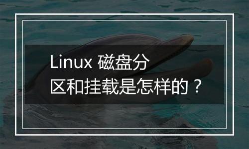 Linux 磁盘分区和挂载是怎样的？