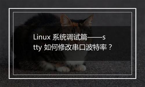 Linux 系统调试篇——stty 如何修改串口波特率？