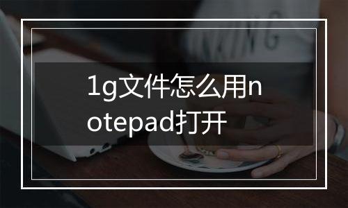 1g文件怎么用notepad打开