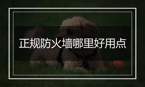 正规防火墙哪里好用点