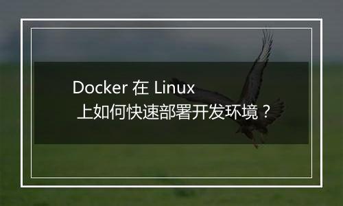Docker 在 Linux 上如何快速部署开发环境?