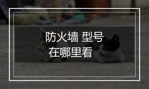 防火墙 型号 在哪里看