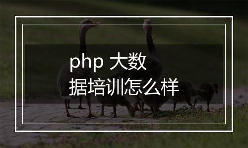 php 大数据培训怎么样