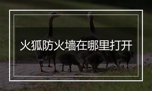 火狐防火墙在哪里打开
