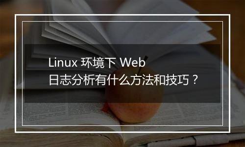 Linux 环境下 Web 日志分析有什么方法和技巧?