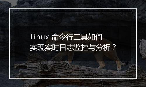 Linux 命令行工具如何实现实时日志监控与分析？
