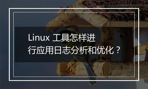 Linux 工具怎样进行应用日志分析和优化?