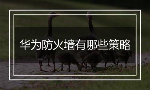 华为防火墙有哪些策略