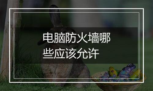电脑防火墙哪些应该允许